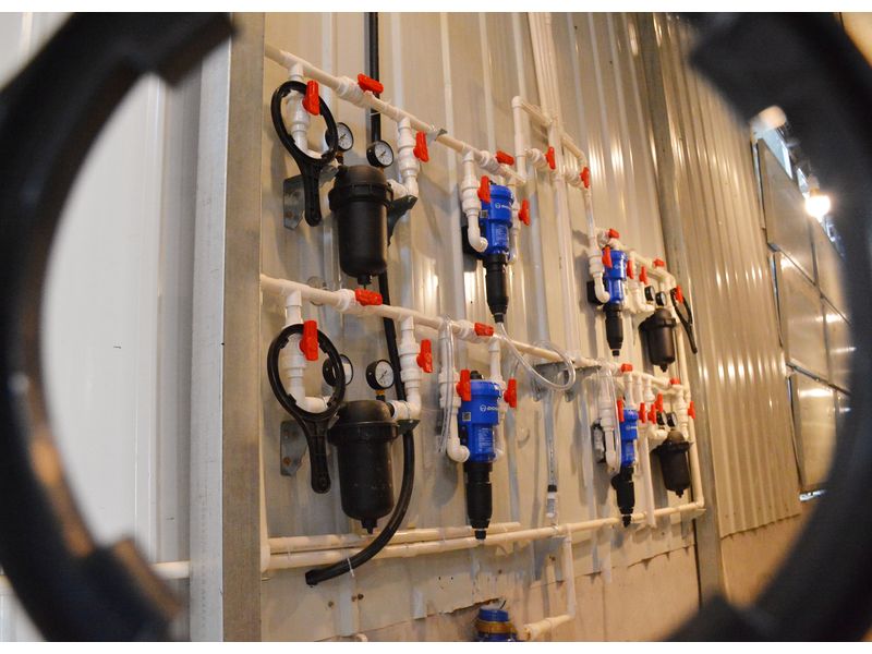 自动化养鸡装备帮你提升鸡群成活率