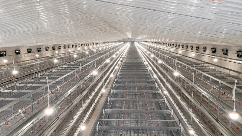 使用肉鸡装备，，，这些问题要重视！！！