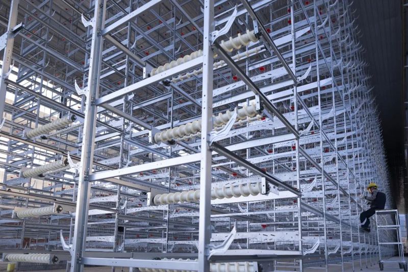 H型鸡笼的优点剖析