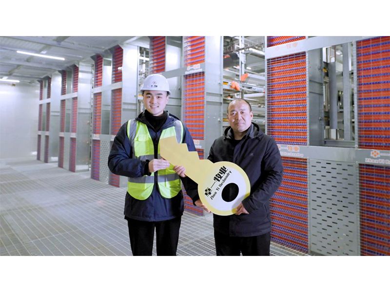 百万蛋鸡养殖 助力墟落振兴︱意昂F凯捷牧业12层超高鸡舍Ⅰ期工程项目顺遂交付