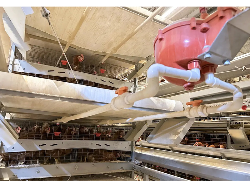 养殖场怎样做到饮水清静？