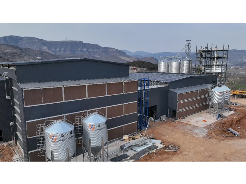 夏日养鸡仅关注温度情形？？？饲料清静须高度重视！！！