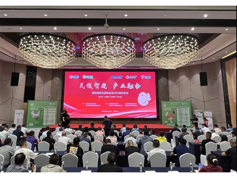 热烈：睾南规模；；凹ζ笠礐EO岑岭论坛取得圆满乐成！