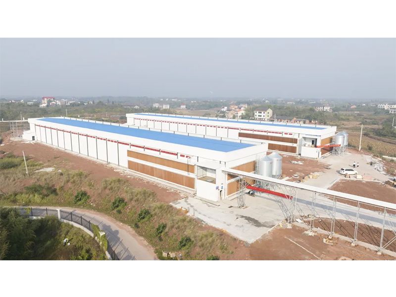 热烈：：：匚髂系厍300万羽蛋鸡养殖基地验收乐成，，上鸡大吉！