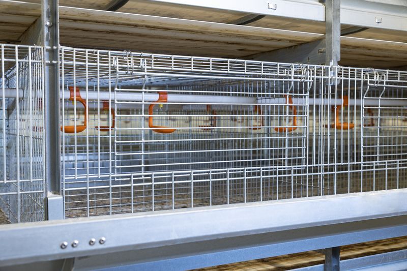 育雏硬件装备图