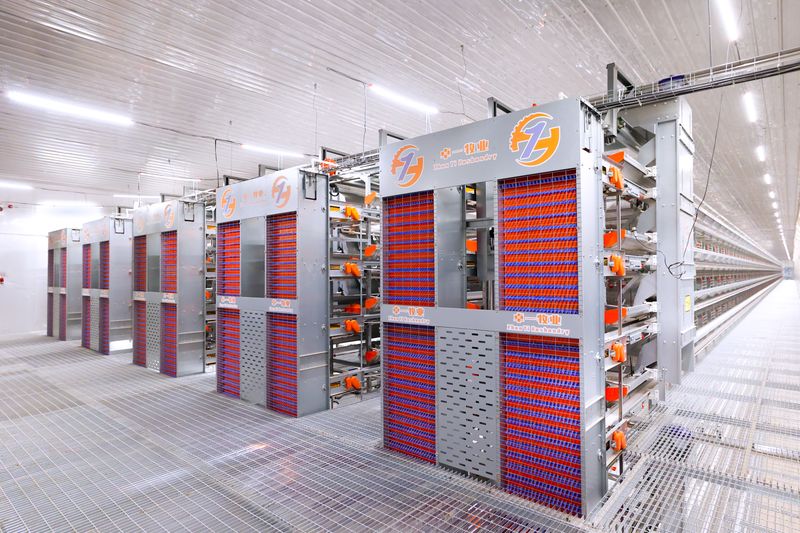 超高层叠养鸡手艺：：：养鸡工业新潮流