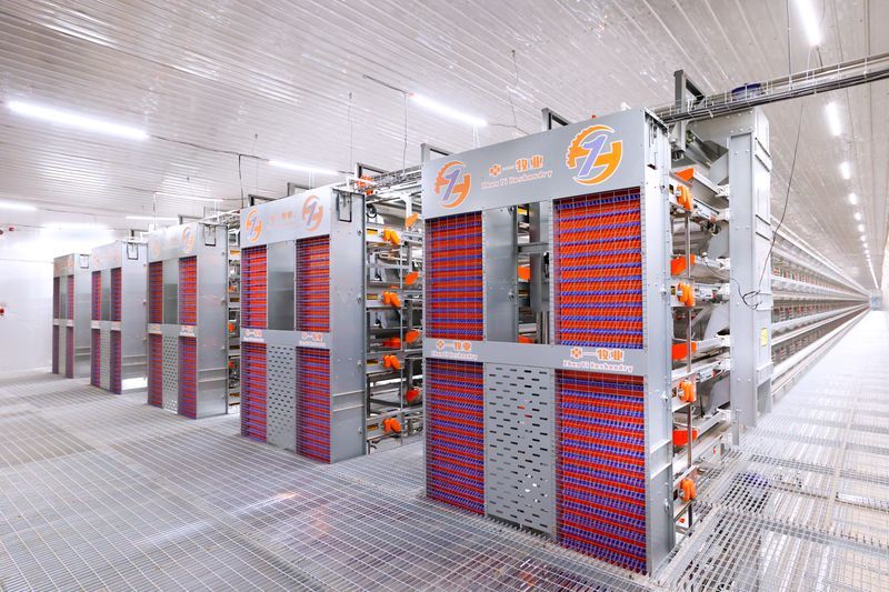 超高层叠养鸡手艺：：养鸡工业新潮流