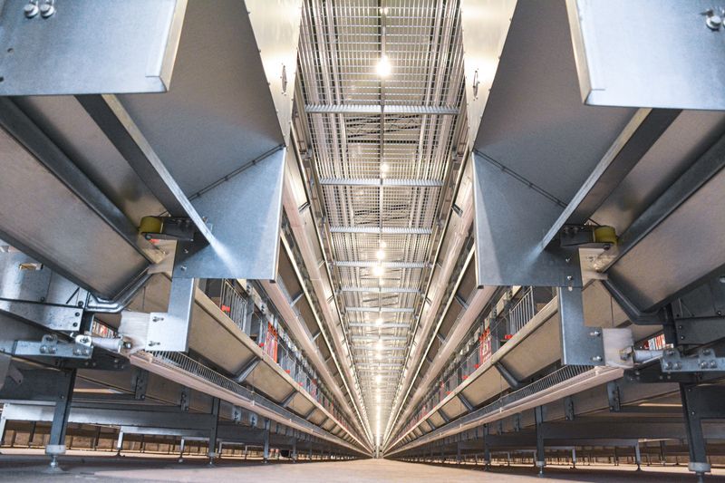 超高层叠养鸡装备：养鸡业的新选择