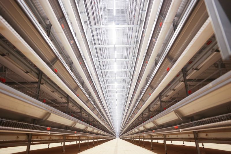 超高层叠养鸡手艺的开展趋势