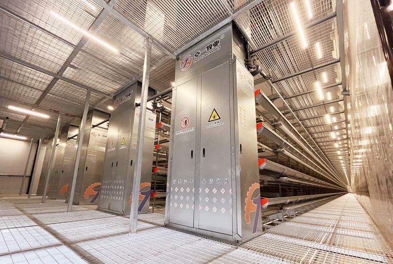 自动化养鸡装备推动养鸡业向智能化迈进