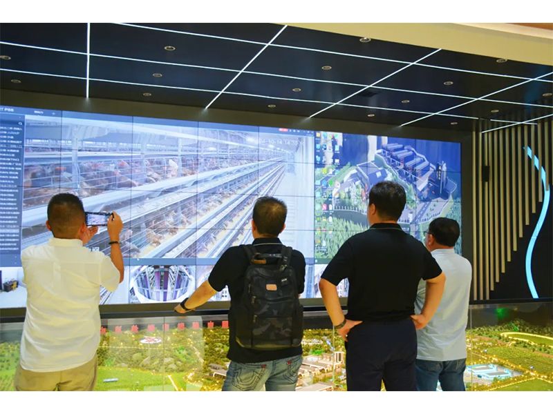 国际交流 | 印尼考察团远赴我司旅行考察