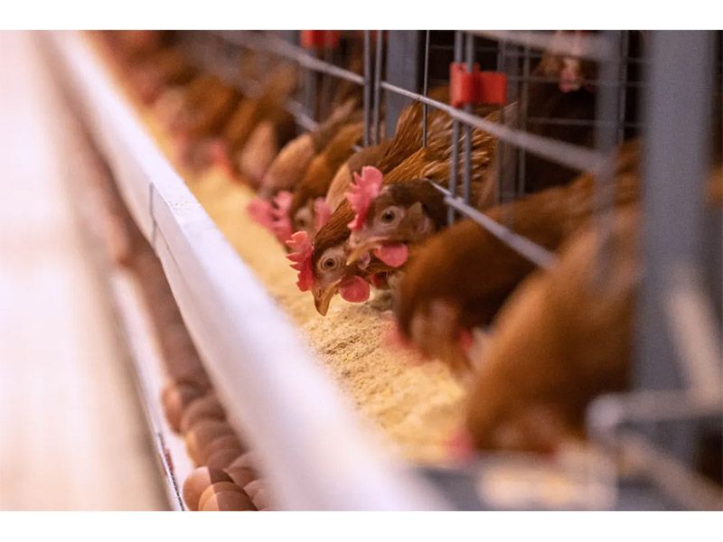 冬季来临，，，养殖户注重做好装备清静治理