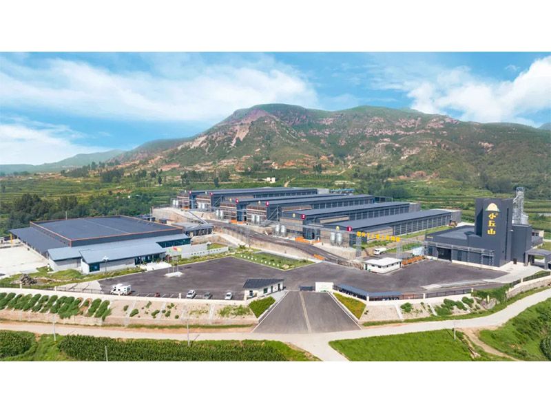 养殖圈很火的现代化智慧农场是什么？？