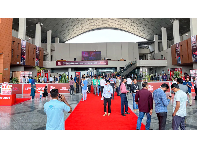 走出去 共开展 | 意昂F凯捷牧业精彩亮相孟加拉INTERNATIONAL POULTRY SHOW 2025