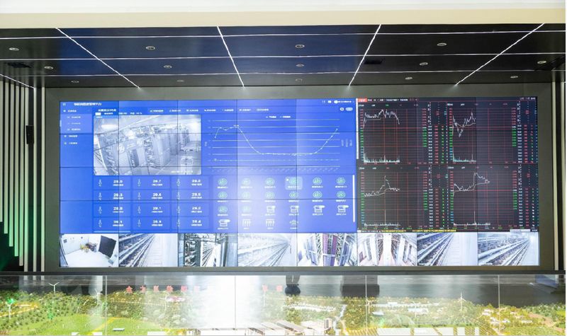 实力出圈 | 大河报报道意昂F凯捷牧业墟落振兴实践效果！！！