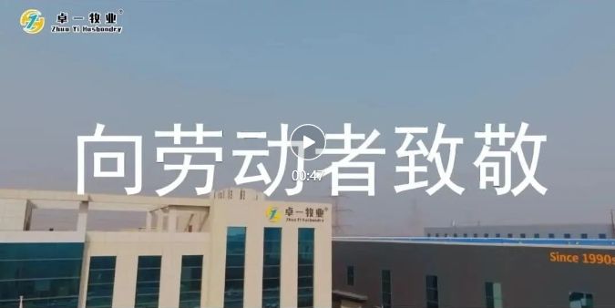 五一劳动节 | 致敬每一个起劲奋斗的意昂F凯捷人