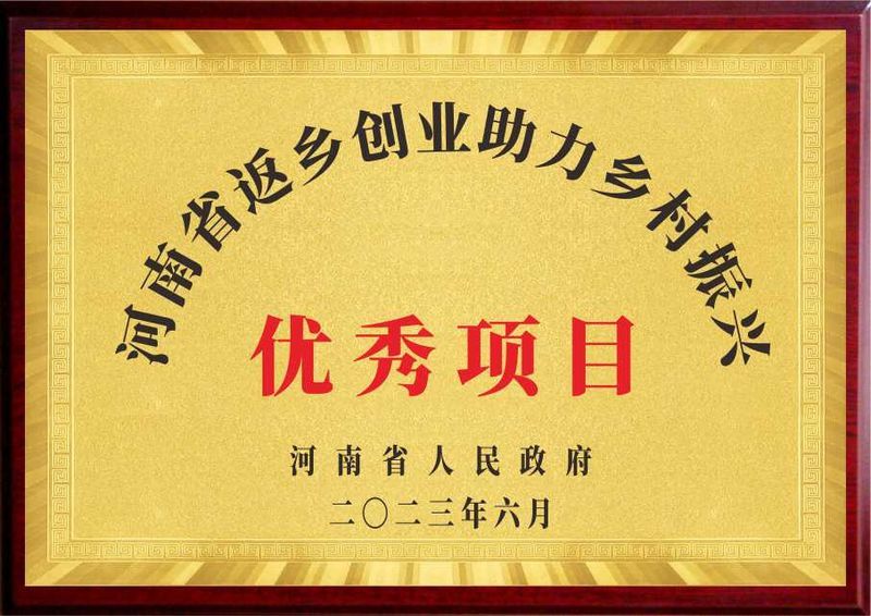 河南省返乡创业助力墟落振兴优异项目